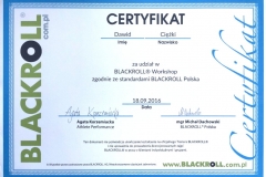 BLACKROLL® Workshop